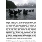 Preview: The U.S. Navy SEAL Survival Handbook (2012)